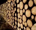 Holzindustrie geht es wieder besser