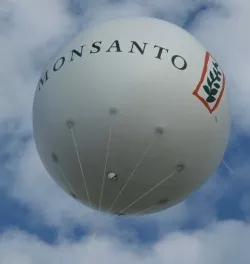 Agrogentechnik Monsanto