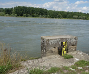 Wasserpegel Rhein