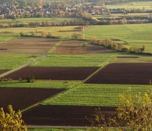 Landnutzung in Brandenburg