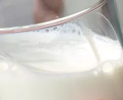 Milchgipfel Brssel
