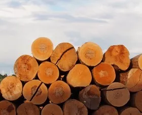 Internationaler Holzhandel