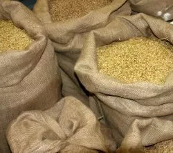 Ukrainische Getreideexporte