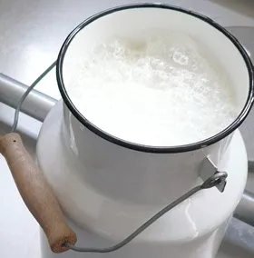Wird zu viel Milch produziert?