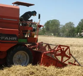 Getreideernte 2022 Baden